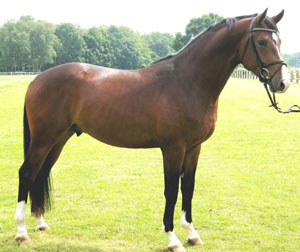 foto: Freckle